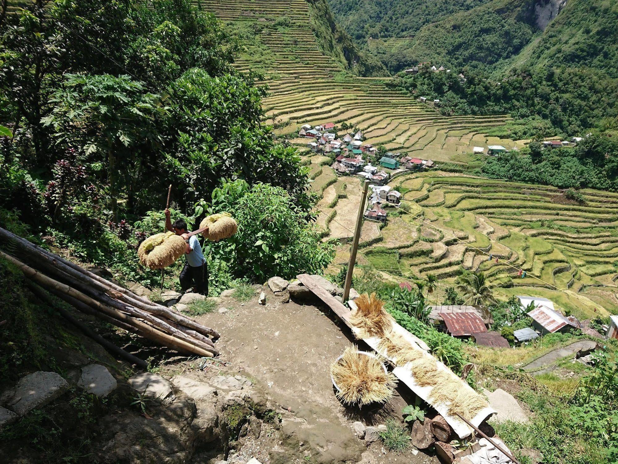Batad Transient House Hotel Банауе Екстериор снимка