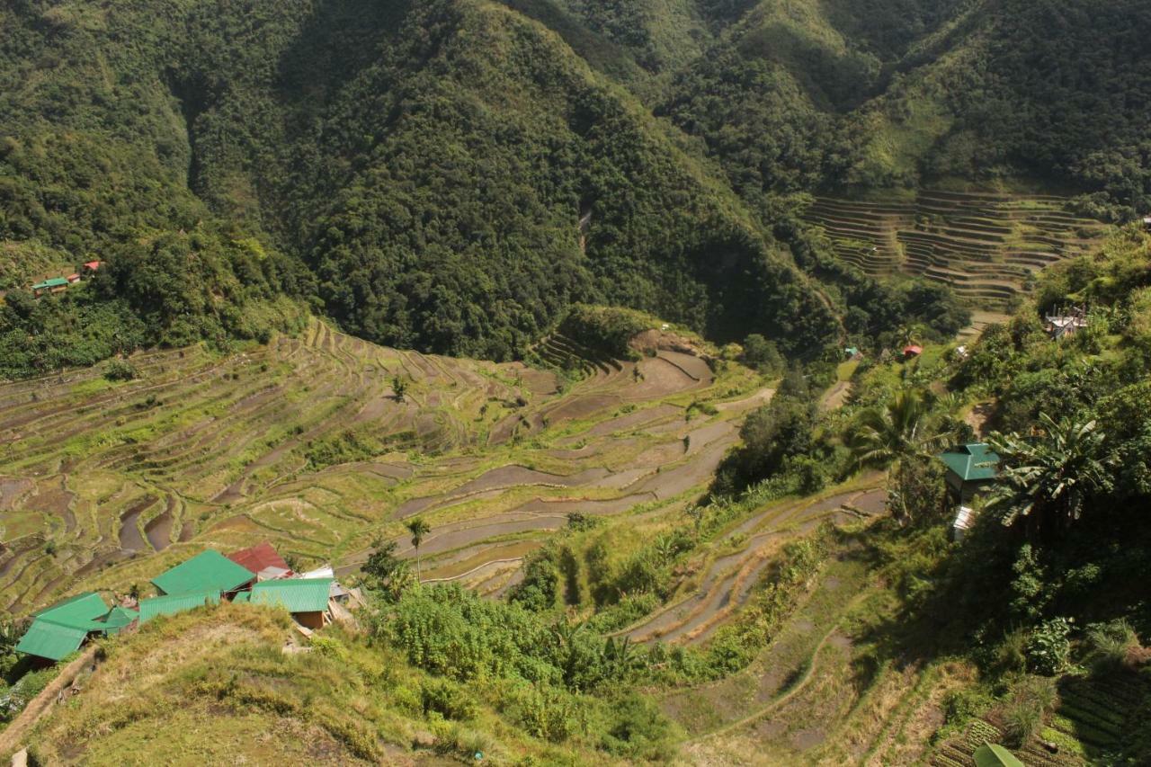 Batad Transient House Hotel Банауе Екстериор снимка